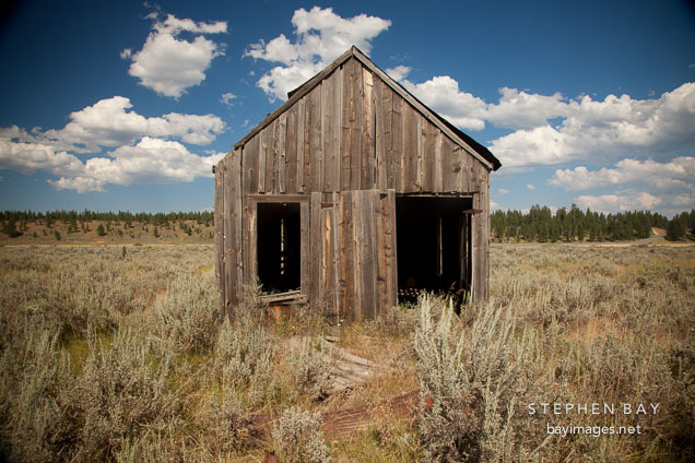Abandoned shed. Whitney, Oregon.