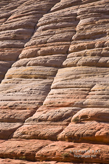 Close-up of Checkerboard Mesa. Zion NP, Utah.