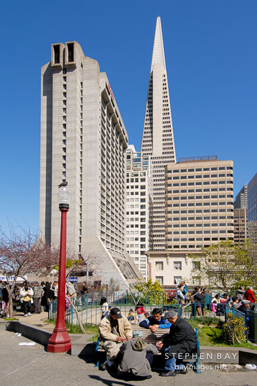 Old men playing games. Portsmouth Square, San Francisco, California, USA.