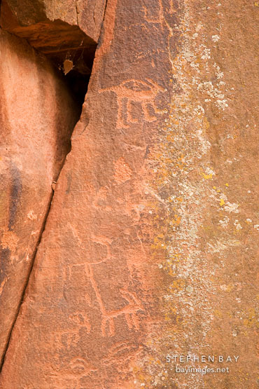 Ringtail-like petroglyph figure. V-Bar-V Ranch, Arizona, USA.