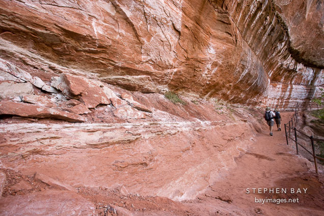 Rock wall at lower Emerald Pool. Zion NP, Utah.