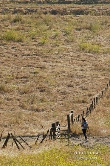 Hiker. Mission Peak, Fremont, California, USA.
