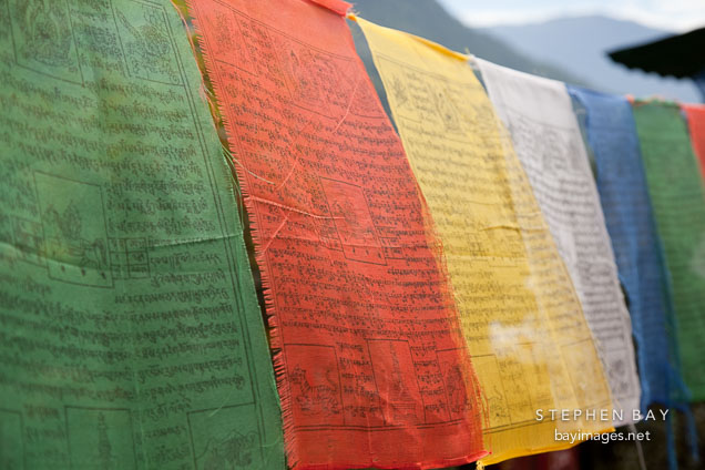 Prayer flags hanging across the trail to the Cheri Monastery. Thimphu Valley, Bhutan.