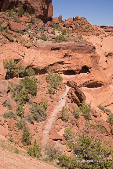 The White House Trail descends into the canyon. Canyon de Chelly, Arizona.