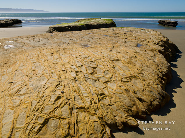 Diatomaceous mudstones and siltstones at Drake's Beach.