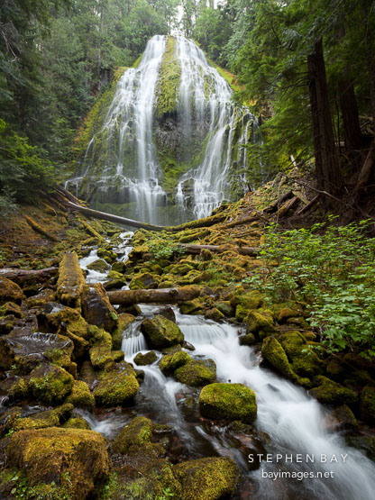 Lower Proxy Falls, Willamette National Forest, Oregon.