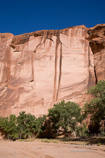 Desert varnish on the canyon walls. Canyon del Muerto, Arizona.