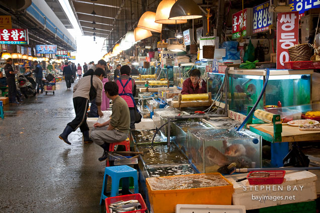Vendors at the Noryangjin Fish Market in Seoul wait for customers to browse their stalls.