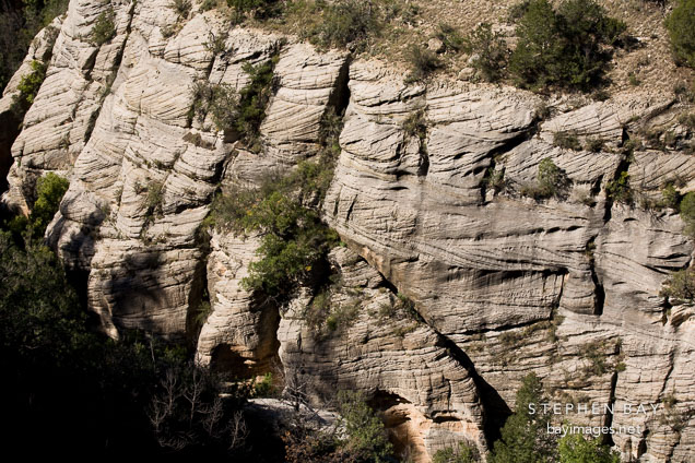 Coconino sandstone at the base of the canyon wall. Walnut Canyon, Arizona.