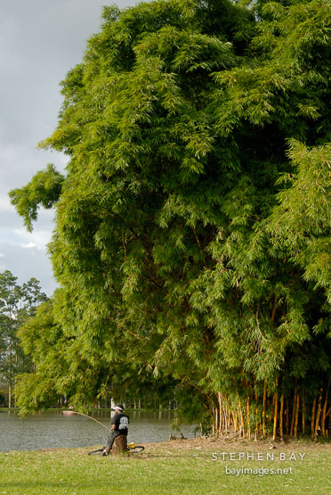 Man fishing in the La Sabana Park. San Jose, Costa Rica.