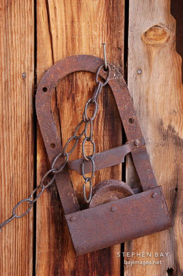 Rusted barn door roller. Tortilla Flat, Arizona, USA