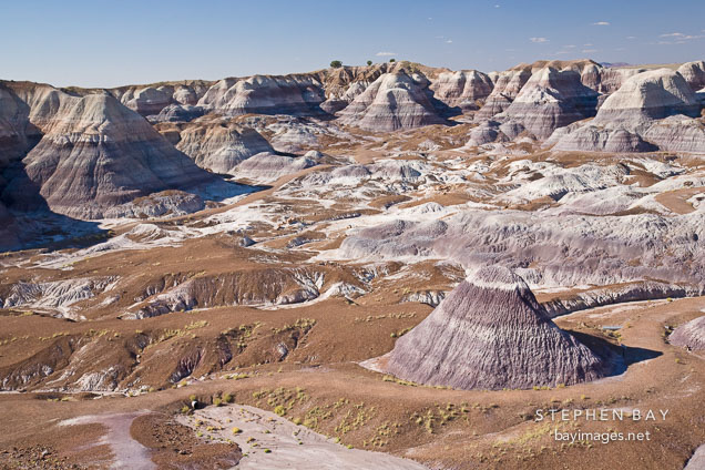 scenic-view-of-blue-mesa-badlands-petrified-forest-18008.jpg