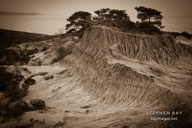 Broken hill at Torrey Pines State Reserve. San Diego, California.