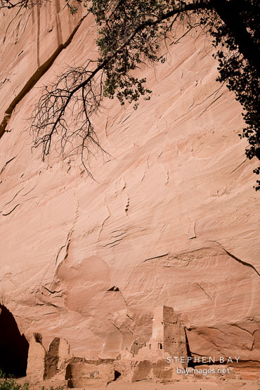 Anasazi ruin. Antelope House, Canyon de Chelly NM, Arizona.