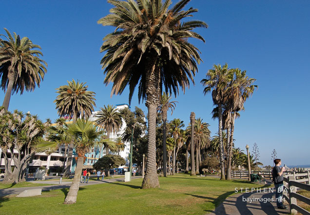 Palisades Park. Santa Monica, California, USA.
