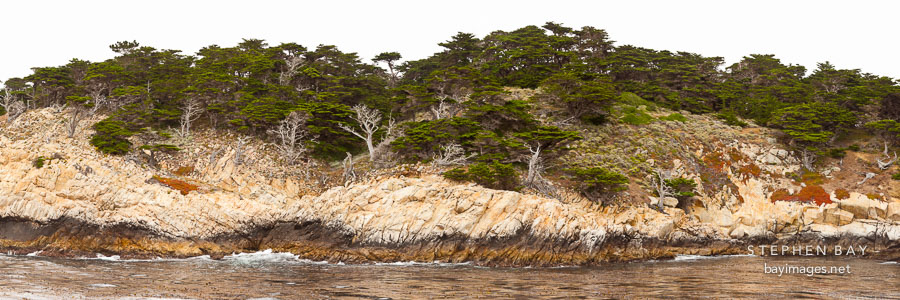 Panorama of the coastal bluffs at Point Lobos.