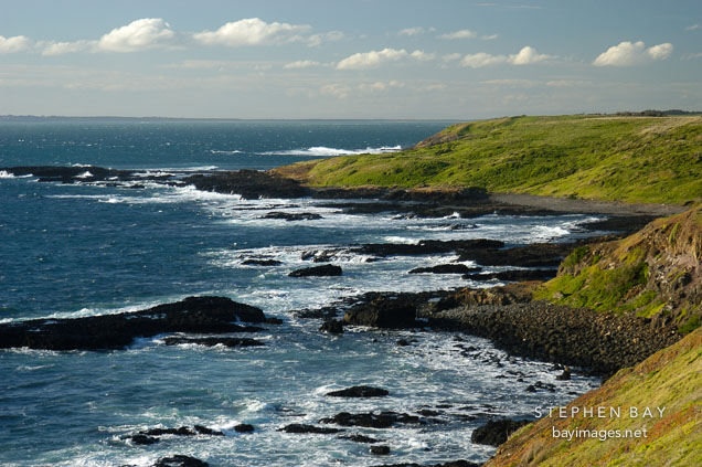 The Nobbies. Phillip Island, Australia.