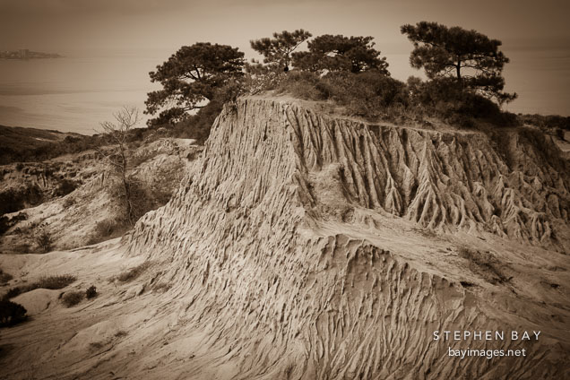 Broken hill. Torrey Pines State Reserve, San Diego, California.