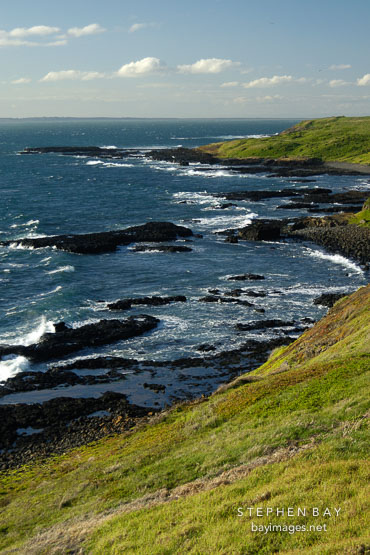 The Nobbies. Phillip Island, Australia.