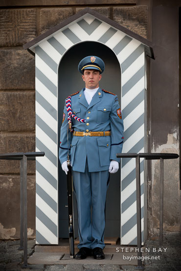 Soldier standing at attention as an Honory Guard. Prague Castle, Czech Republic.