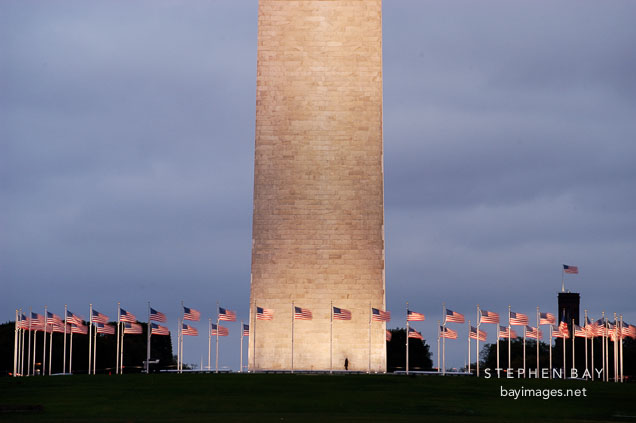 American flags surround the Washington Monument. Washington, D.C., USA.