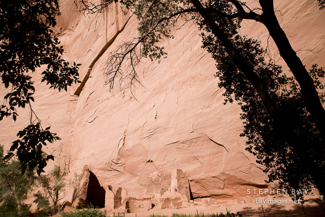 Antelope house viewed from the canyon floor. Canyon de Chelly NM, Arizona.