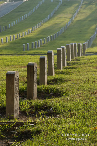 Row of gravestones. Los Angeles National Cemetery. Los Angeles, California.