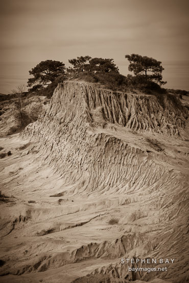 Broken hill at Torrey Pines State Reserve. San Diego, California.