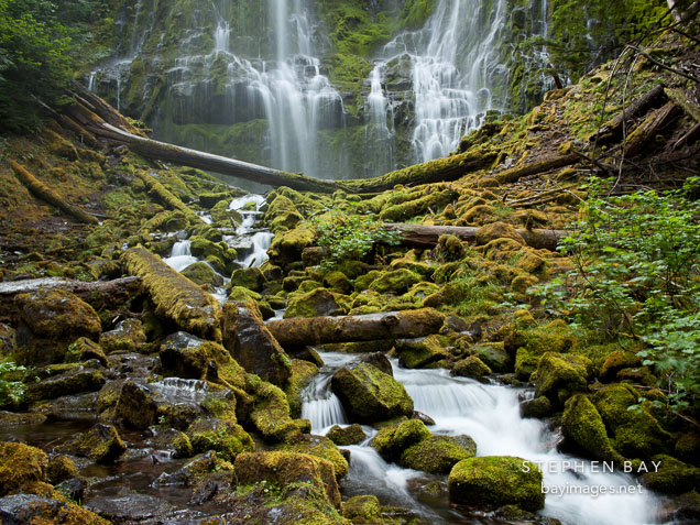 Lower Proxy Falls, Three Sisters Wilderness, Willamette National Forest, Oregon.