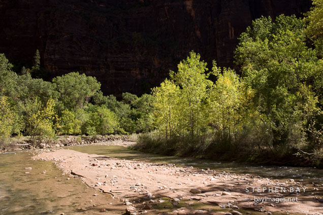 North Fork Virgin River at the Temple of Sinawava. Zion NP, Utah.