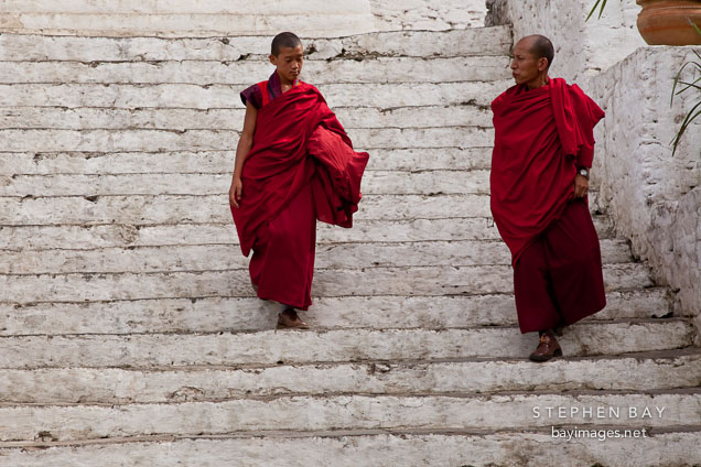 Monks walking down the steps of Punakha Dzong.