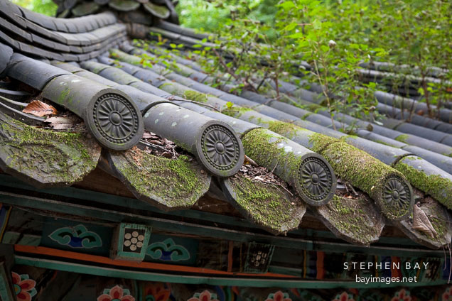 Architectural detail of the jibung (roof) of a pavilion at Donghaksa Temple in Gyeryongsan National Park.