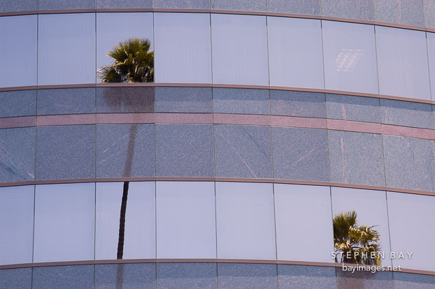 Reflection of palm trees on the windows of the Director's Guild of America building. Sunset Boulevard, Los Angeles, California, USA.