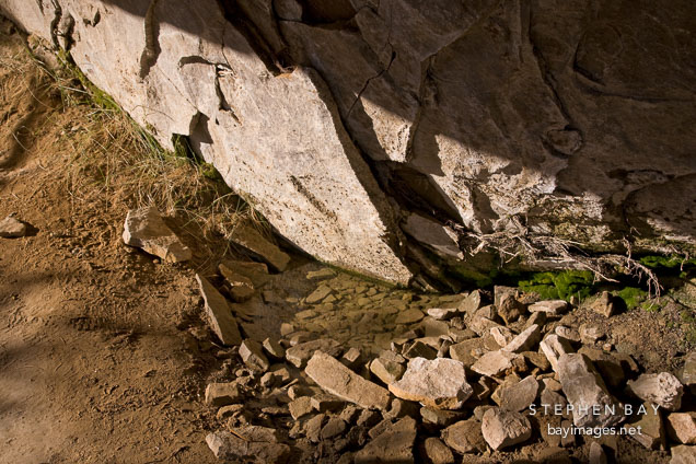 Water seeps through the rock to form a pool. Balcony House, Mesa Verde NP, Colorado.