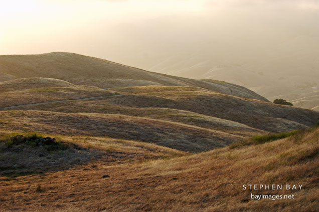 Mission Peak, Fremont, California, USA.