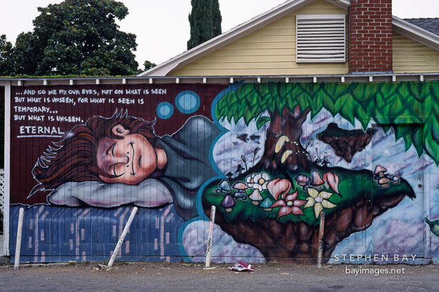 Graffiti. Los Angeles, California, USA.