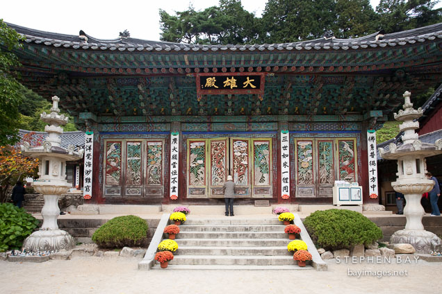 A visitor enjoys the beautiful Donghaksa Temple in Gyeryongsan National Park. Donghaksa is an institute for Buddhist nuns.