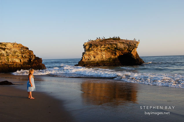 Natural bridges state beach, California, USA.