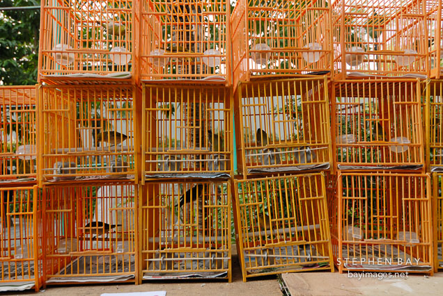 Stacked bird cages. Mong Kok bird garden. Hong Kong.