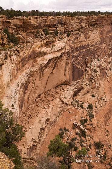 Two Fell Off alcove where a Spanish soldier and Navajo woman struggled during the Spanish massacre and fell to their deaths. Canyon de Chelly, Arizona.