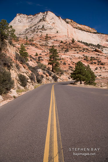Highway through Zion. Zion NP, Utah.