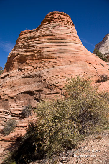Sandstone tumulus. Zion NP, Utah.