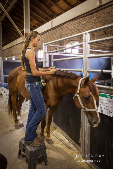 Young girl grooms her horse. Iowa State Fair, Des Moines.