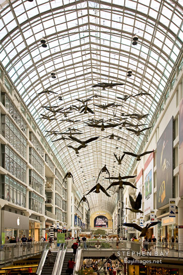 Canada, Eaton Center, Ontario, Toronto, Travel, atrium, center