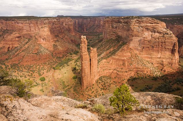 Spider Rock seen from the South Rim overlook. Canyon de Chelly, Arizona.