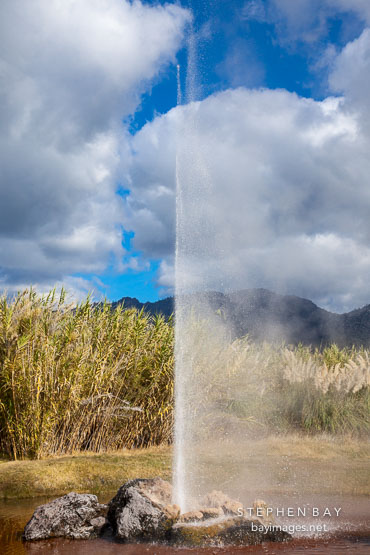Old Faithful Geyser of California. Calistoga, California