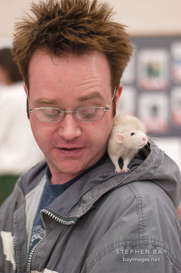 An attendee provides a suitable perch for a pet rat. The Wonderful World of Rats, San Mateo, California, USA.