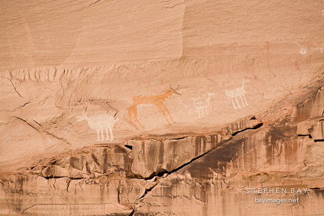 Four antelope pictograph. Antelope House Ruins, Canyon de Chelly NM, Arizona