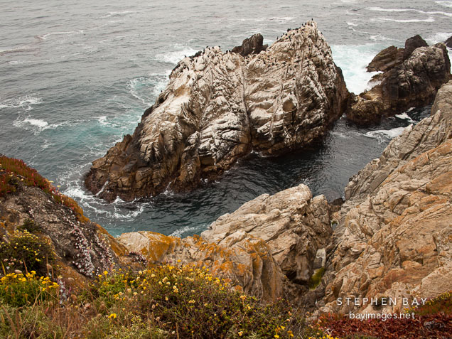 Small rocky island at the north shore of  Point Lobos. California.