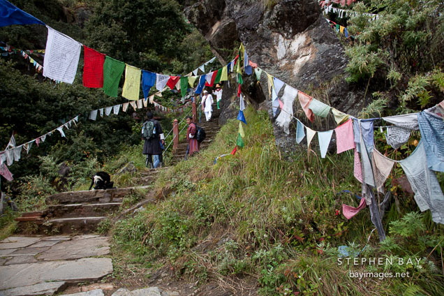 Steps on the path to the Tiger's Nest monastery. Paro, Bhutan.